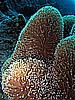 IMG_1600.JPG