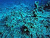IMG_1602.JPG