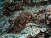 IMG_1603.JPG