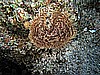 IMG_1605.JPG