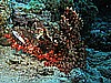 IMG_1606.JPG