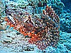 IMG_1608.JPG