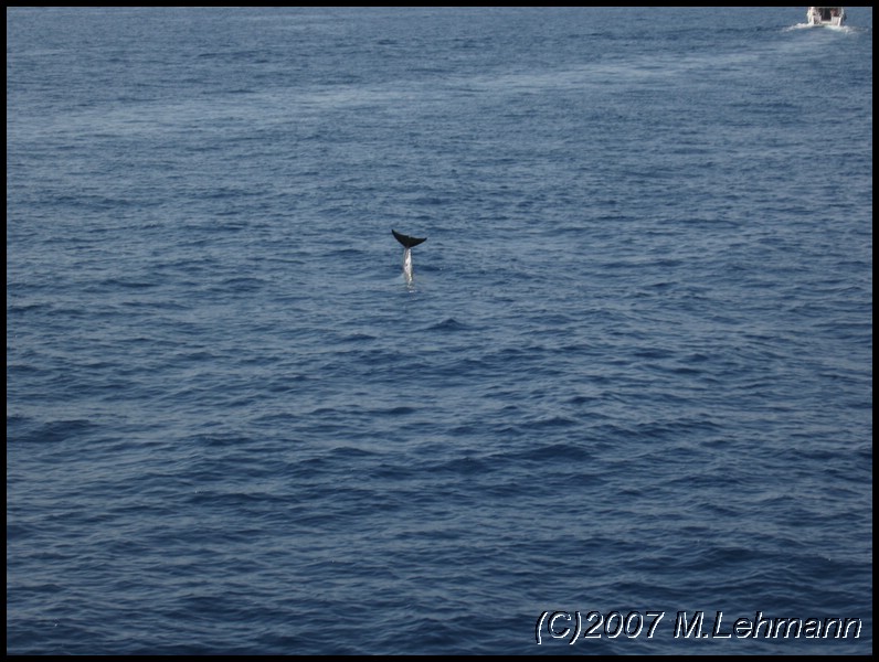 IMG_1615.JPG