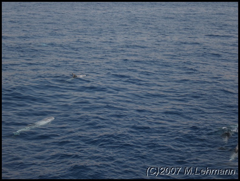 IMG_1621.JPG