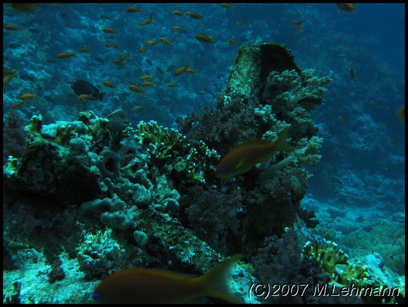IMG_1677.JPG