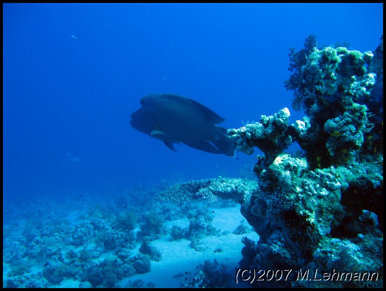 IMG_1701.JPG