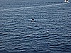 IMG_1615.JPG