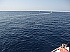 IMG_1616.JPG