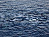IMG_1618.JPG