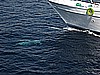 IMG_1619.JPG
