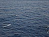 IMG_1621.JPG