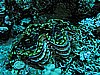 IMG_1632.JPG