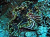 IMG_1633.JPG