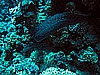 IMG_1636.JPG