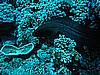IMG_1638.JPG