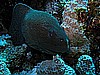 IMG_1639.JPG