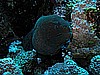 IMG_1640.JPG