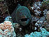 IMG_1641.JPG