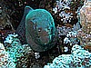 IMG_1642.JPG