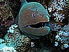 IMG_1643.JPG