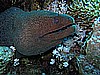 IMG_1644.JPG