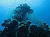 IMG_1648.JPG
