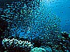IMG_1649.JPG