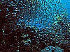 IMG_1650.JPG