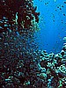 IMG_1651.JPG
