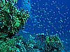 IMG_1652.JPG