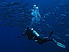 IMG_1657.JPG