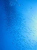 IMG_1663.JPG
