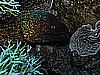 IMG_1666.JPG