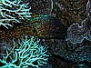 IMG_1667.JPG