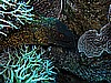 IMG_1668.JPG