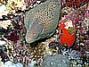 IMG_1670.JPG