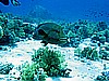 IMG_1671.JPG