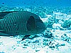 IMG_1672.JPG