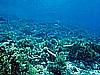 IMG_1673.JPG