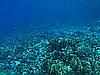 IMG_1675.JPG
