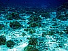 IMG_1676.JPG