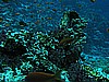IMG_1677.JPG