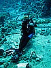 IMG_1682.JPG