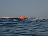 IMG_1683.JPG