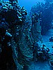 IMG_1692.JPG