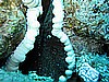 IMG_1695.JPG