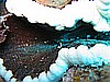 IMG_1697.JPG
