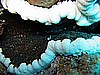 IMG_1698.JPG