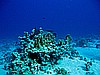 IMG_1700.JPG