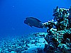 IMG_1701.JPG